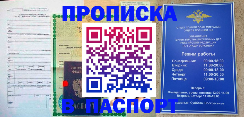 форма 3 в Камчатском крае